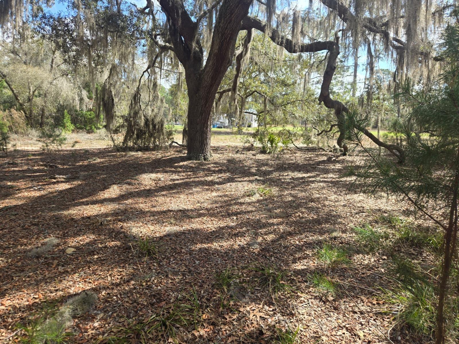 INTERLACHEN LAKES ESTATES - Land