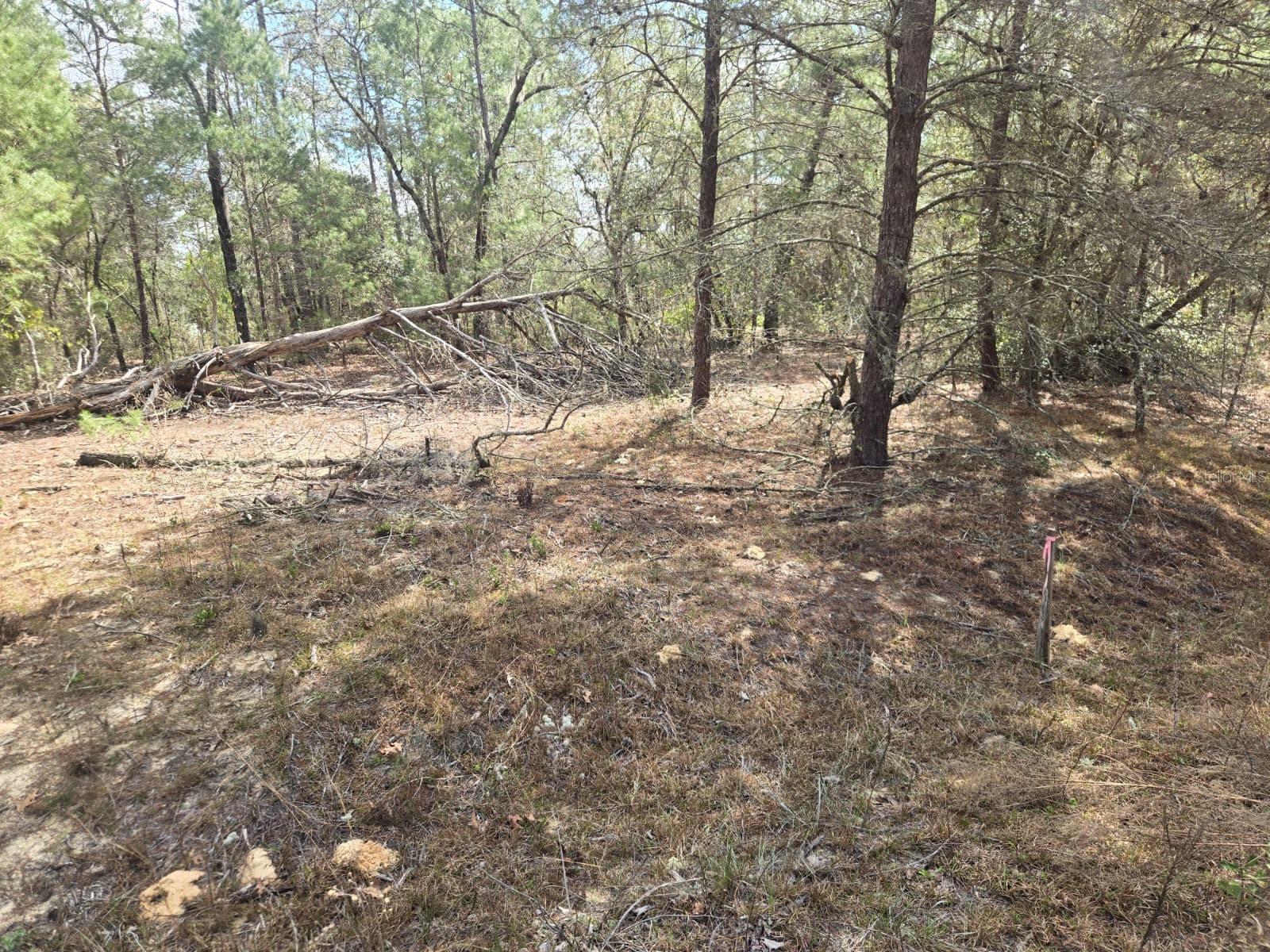 INTERLACHEN LAKES ESTATES - Land