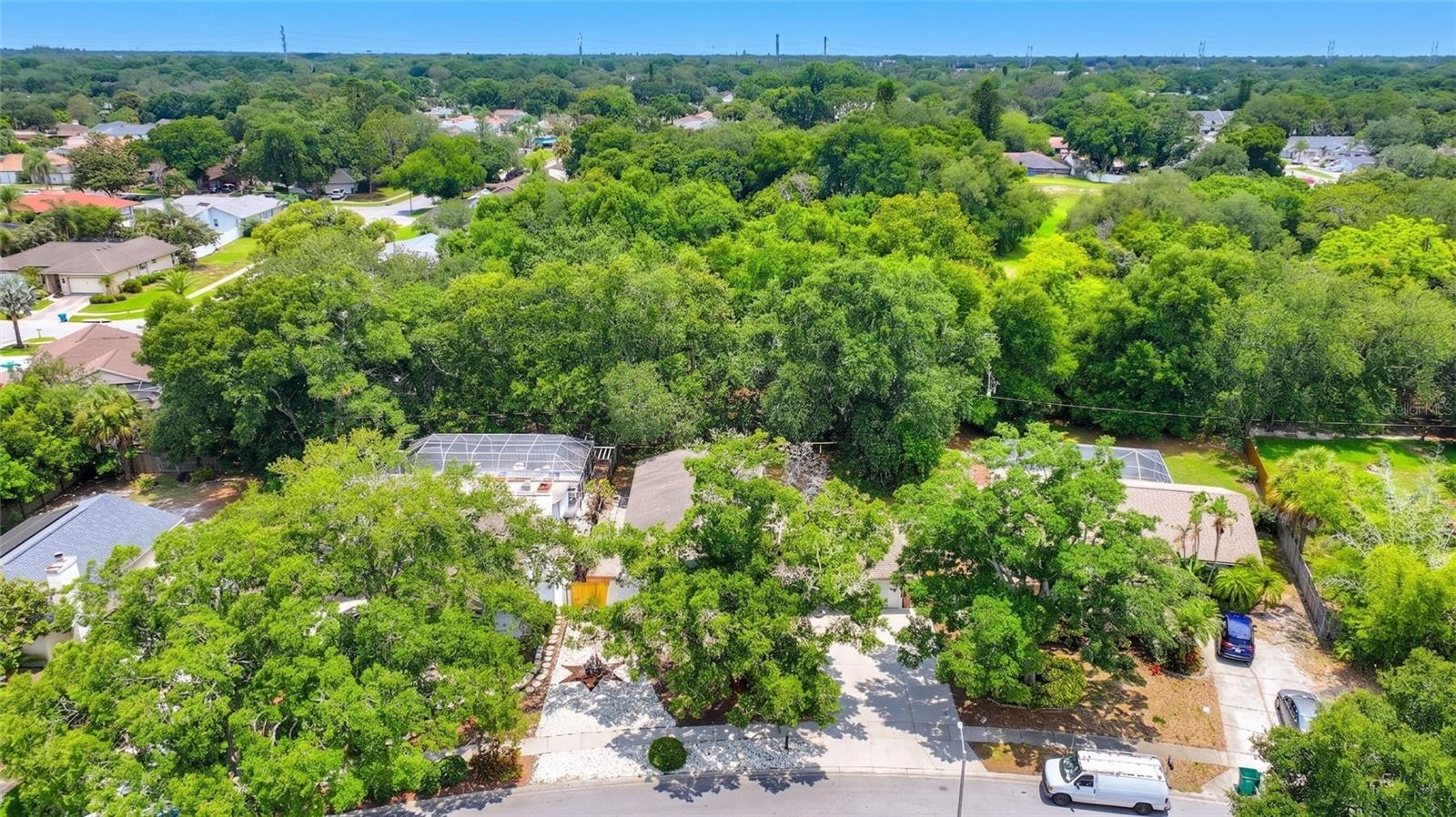 LAKE ST GEORGE-UNIT 1 - Residential
