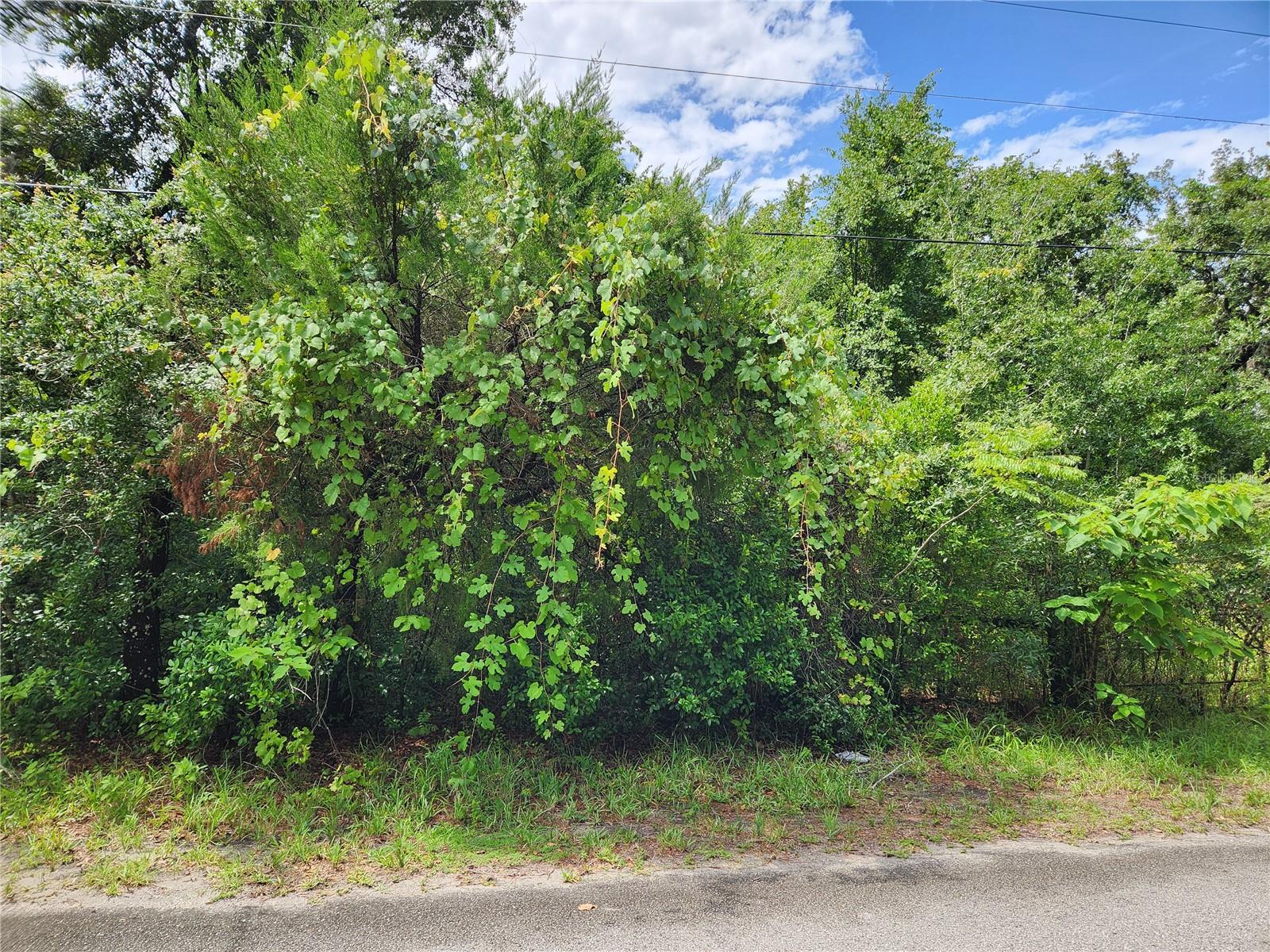 Welcome to Oakwood Acres, where this spacious 1.36-acre parcel offers the perfect opportunity to bring your dream home to life. Set in a peaceful, natural setting, this property provides ample room to design and build the residence you have been envisioning while enjoying the privacy and quiet charm of the community. A well and septic system will be required, giving you flexibility to develop the property to suit your needs. Conveniently located near shopping, dining, schools, and major highways, this homesite offers easy access to everyday necessities, area amenities and commuter routes. Bring your plans and make your dream home a reality in the desirable Oakwood Acres area.