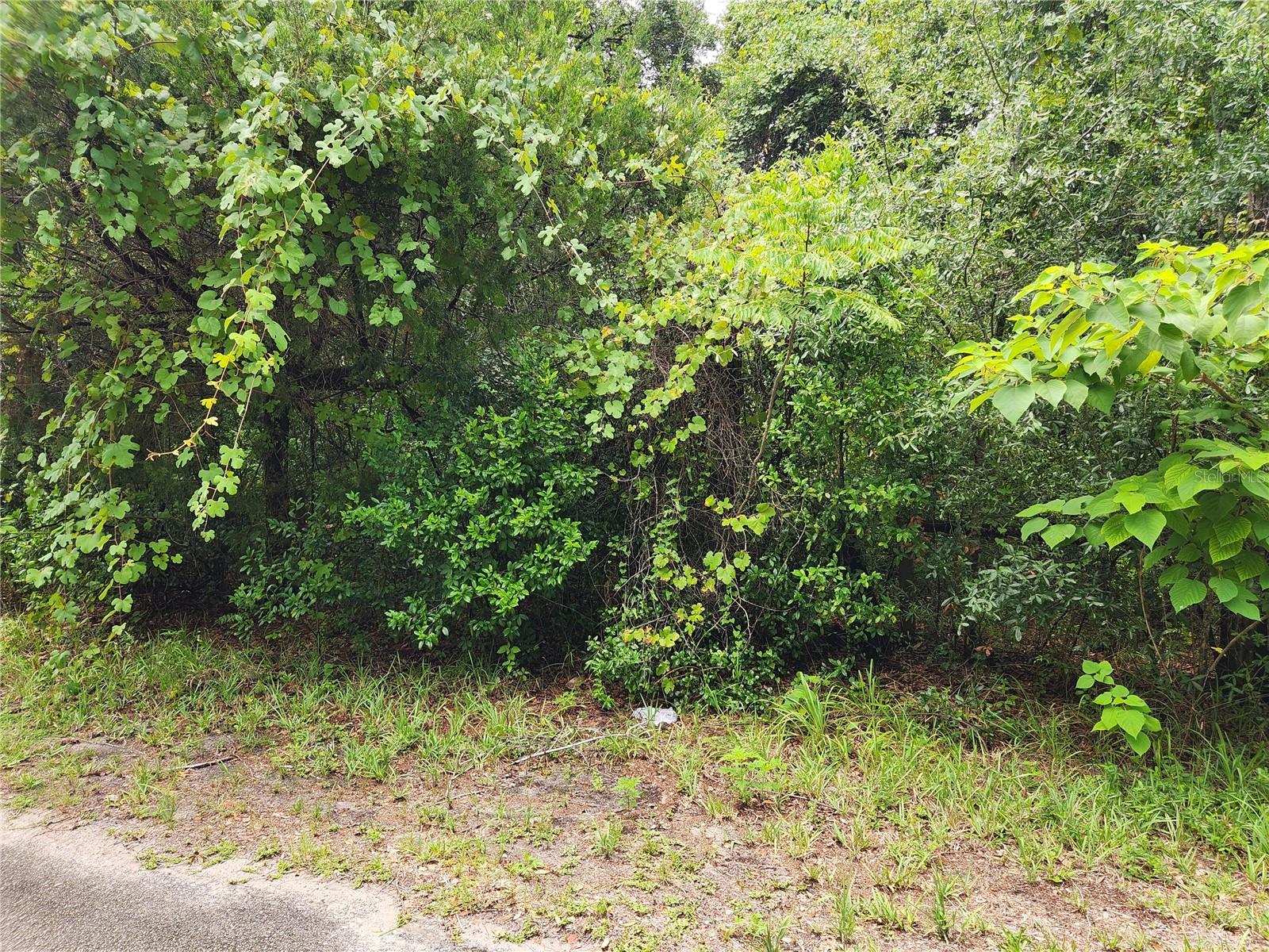 OAKWOOD ACRES - Land