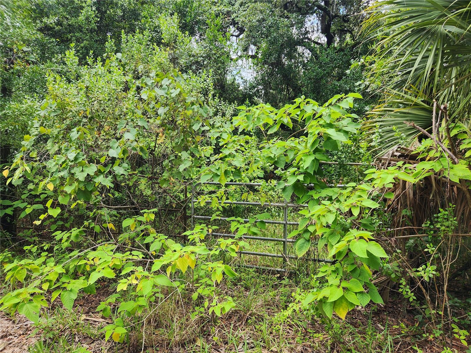 OAKWOOD ACRES - Land