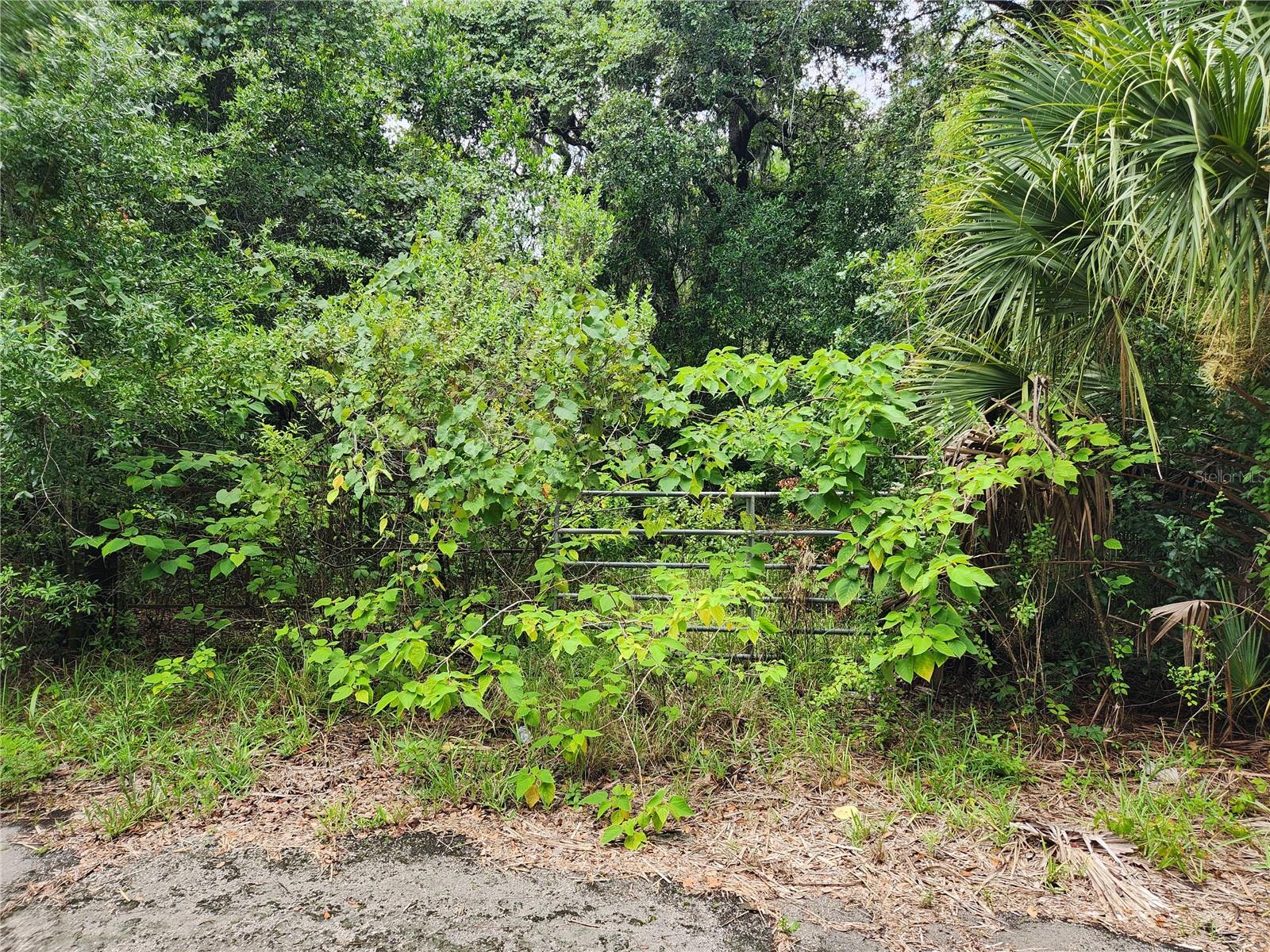 OAKWOOD ACRES - Land