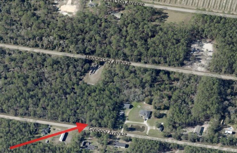 FLAGLER ESTATES - Residential