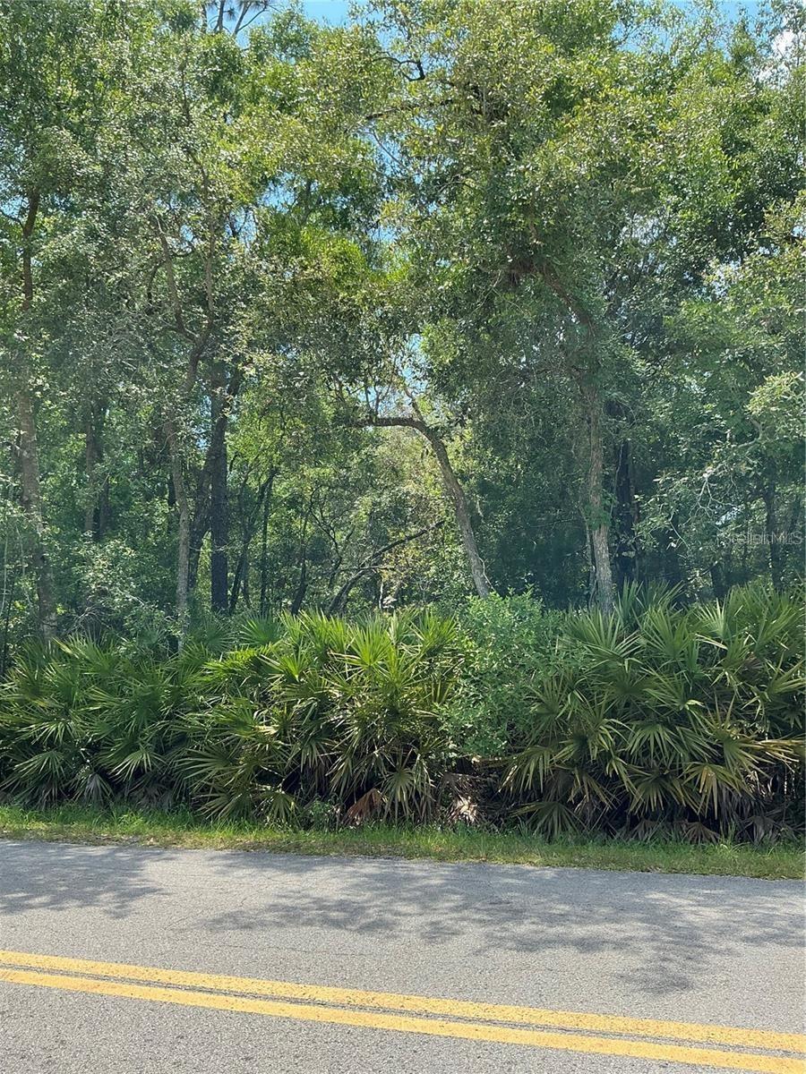 OCALA ESTATE - Land