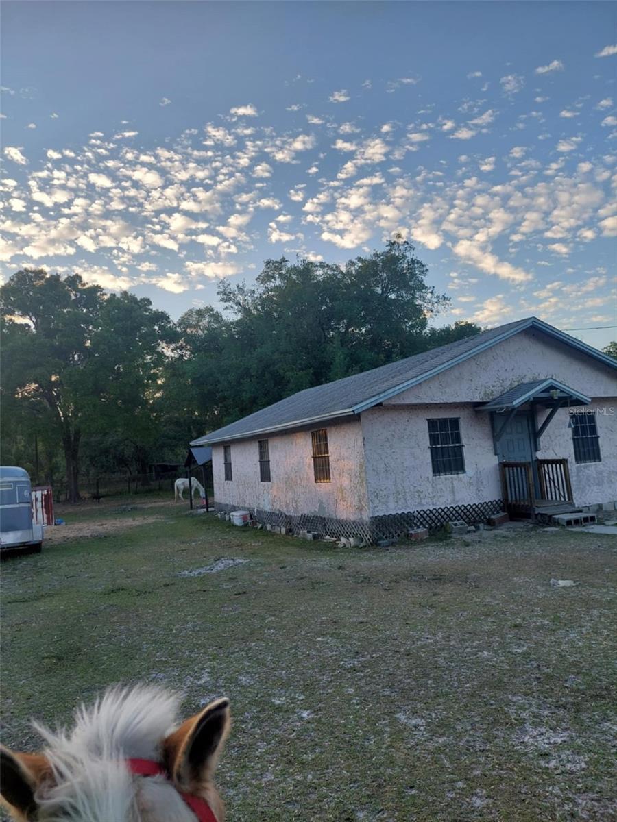 Situated on a full acre along N Hwy 301 in Thonotosassa, this 3-bedroom, 1-bath home presents an excellent opportunity for investors, renovators, or buyers looking to bring their own vision to life. The property includes two additional sheds, offering extra storage or workspace, as well as a fenced area suitable for a horse or other animals. This is a true fixer-upper and will require significant repairs and updates, making it ideal for a cash buyer or renovation loan. This expansive lot provides plenty of room for outdoor living, future improvements or agricultural use. WIth convenient access to Tampa, major highways, shopping, and dining, the location adds strong long-term potential. Sold as-is. Bring your ideas and unlock the possibilities this unique property has to offer.