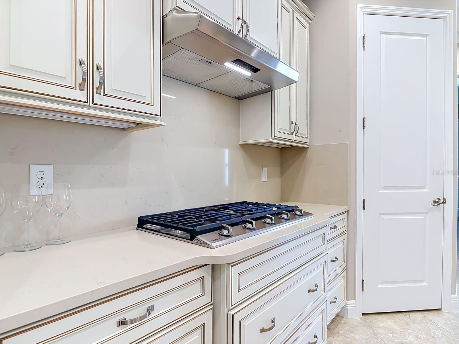 LAKES OF MOUNT DORA - Residential