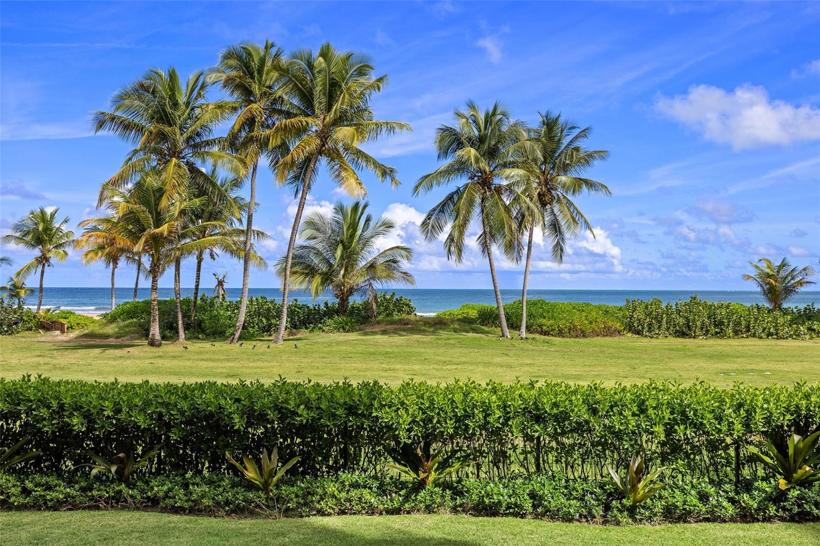 OCEAN DRIVE RESIDENCES - Residential