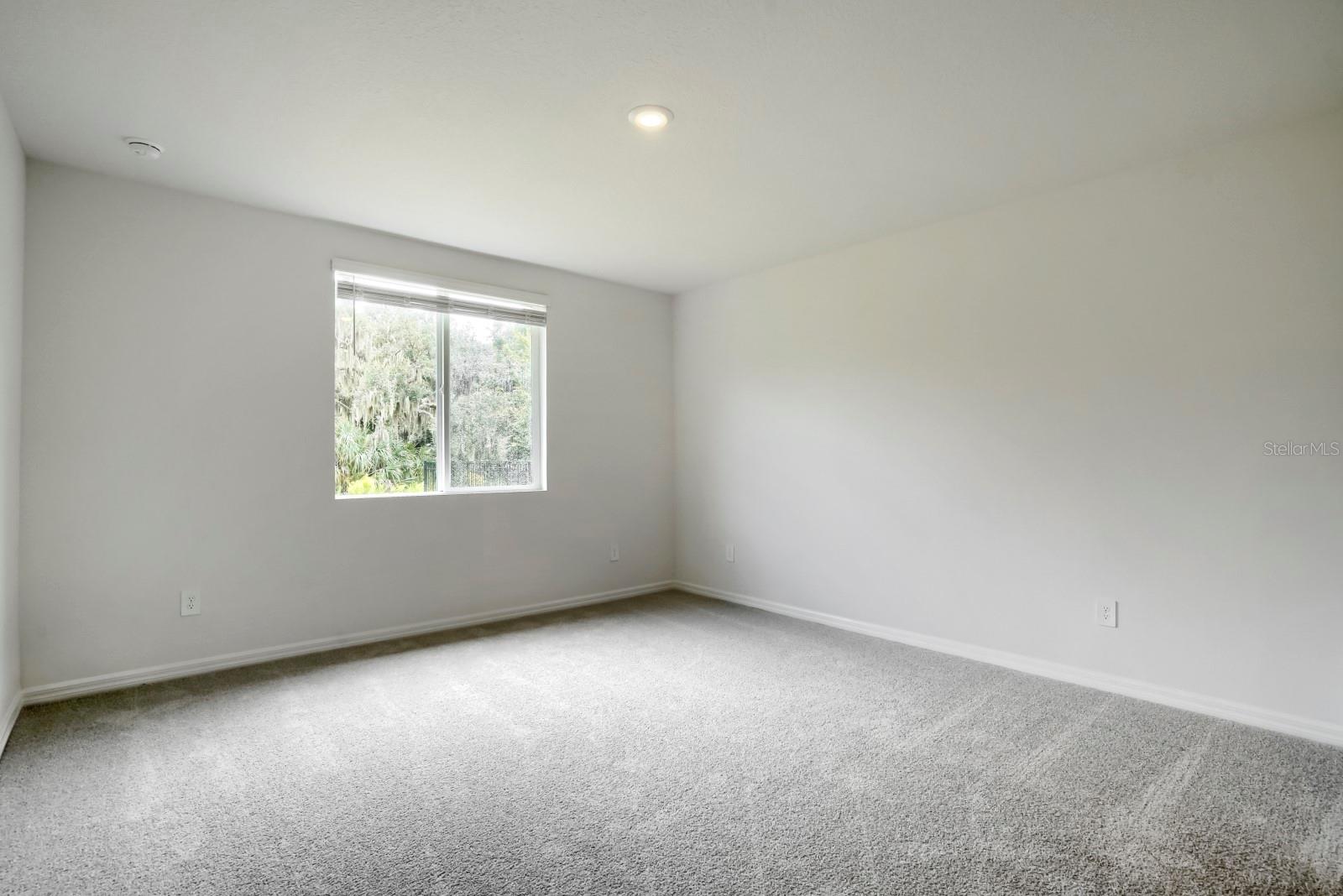 SALT MEADOWS - Residential