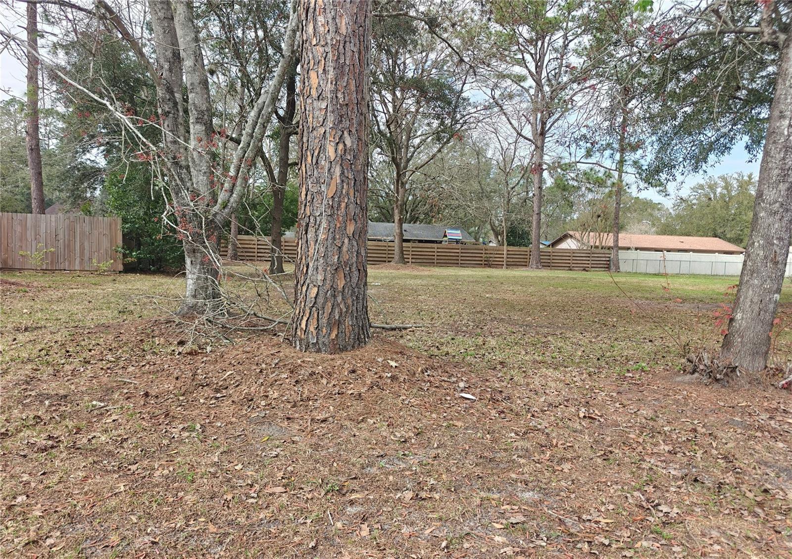 Rare opportunity to own a 0.26-acre vacant residential lot in the established Northwood Pines community of Gainesville. Previously improved with a home, this spacious parcel features beautiful mature trees, offering the perfect blend of privacy and natural charm. With approximately 100 x 115 dimensions and RSF-2 zoning, the lot provides excellent flexibility for a custom home or investment opportunity. Public water and sewer are available nearby. Conveniently located near shopping, dining, schools, and major Gainesville amenities. Just a 1-minute drive from A.N.N.E. Park, featuring picnic areas, outdoor grills, basketball courts, a shaded playground, and a unique musical instrument play area. Vacant lots in established neighborhoods like this are becoming increasingly hard to find.