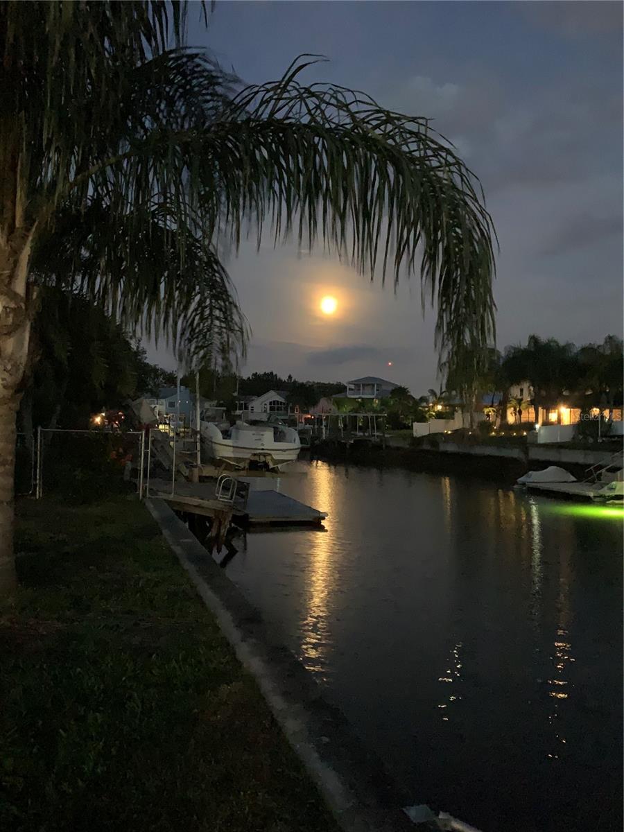 SEA PINES - Land