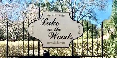 LAKE IN THE WOODS - Residential