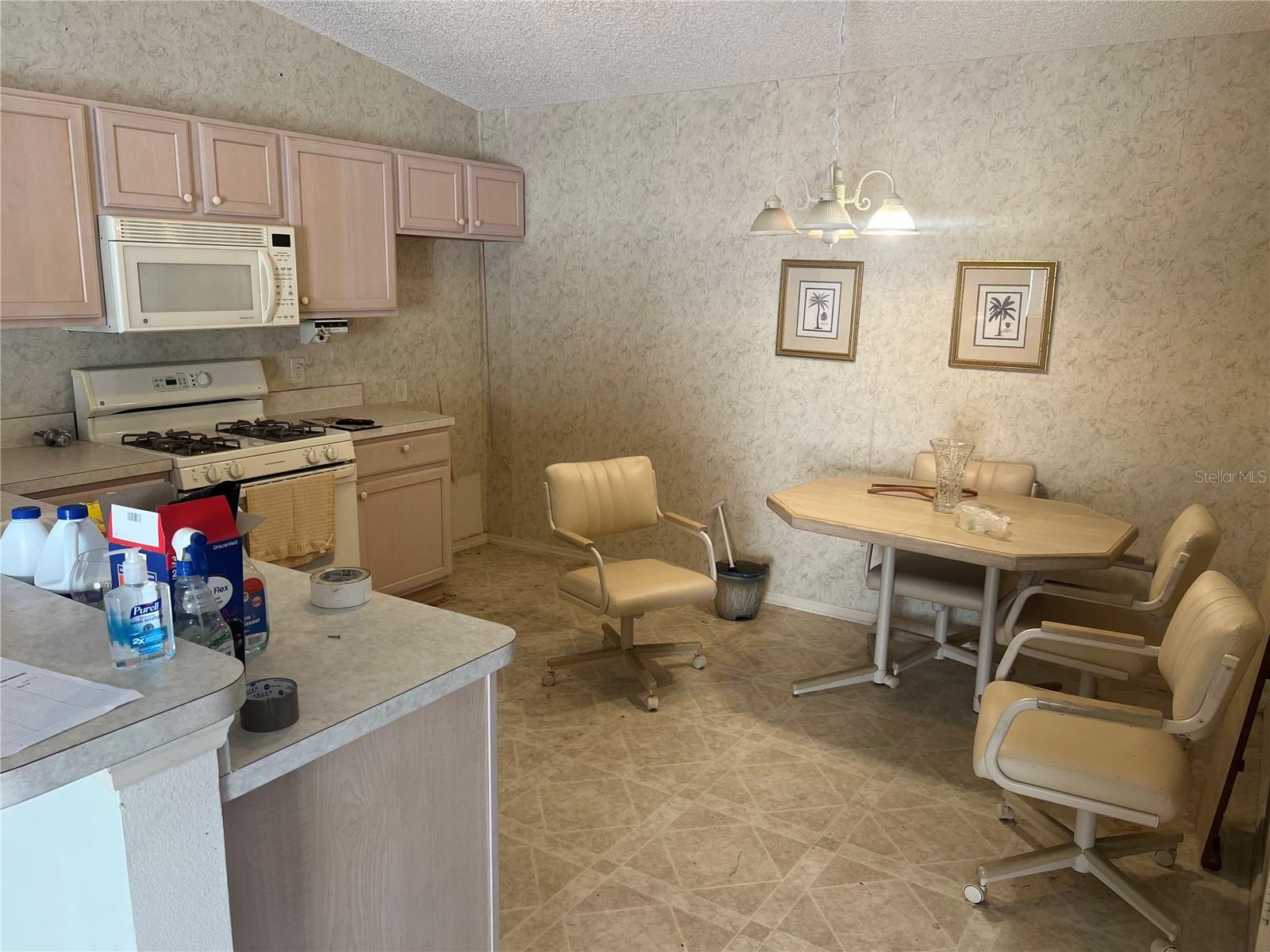VILLAGES/MARION VILLAS/MERRY O - Residential