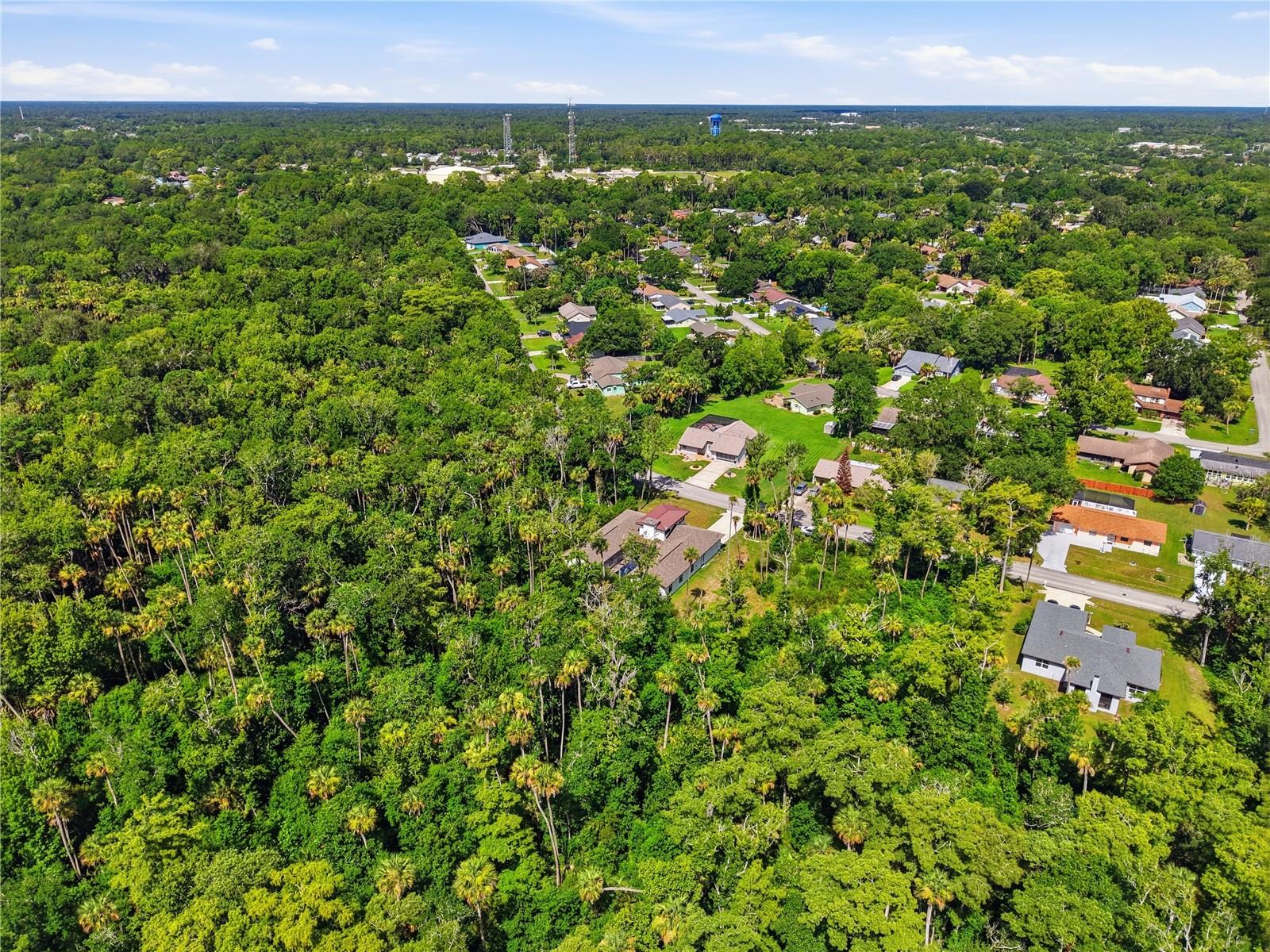 PALM COAST/BERNARD MDWS SEC 81 - Residential
