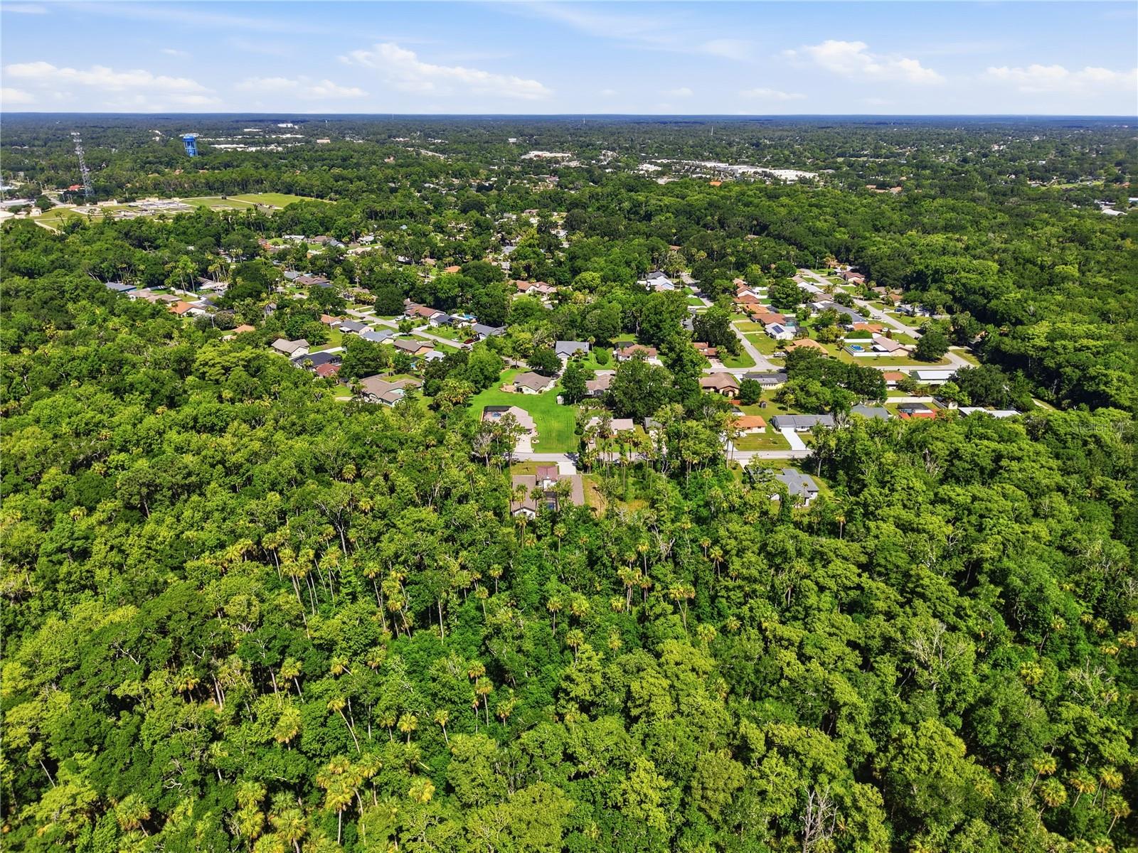 PALM COAST/BERNARD MDWS SEC 81 - Residential