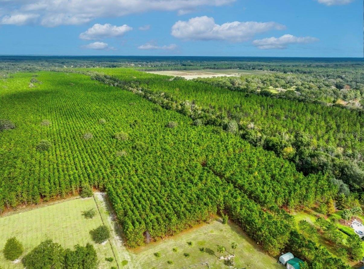 NOTTINGHAM FARMS - Land