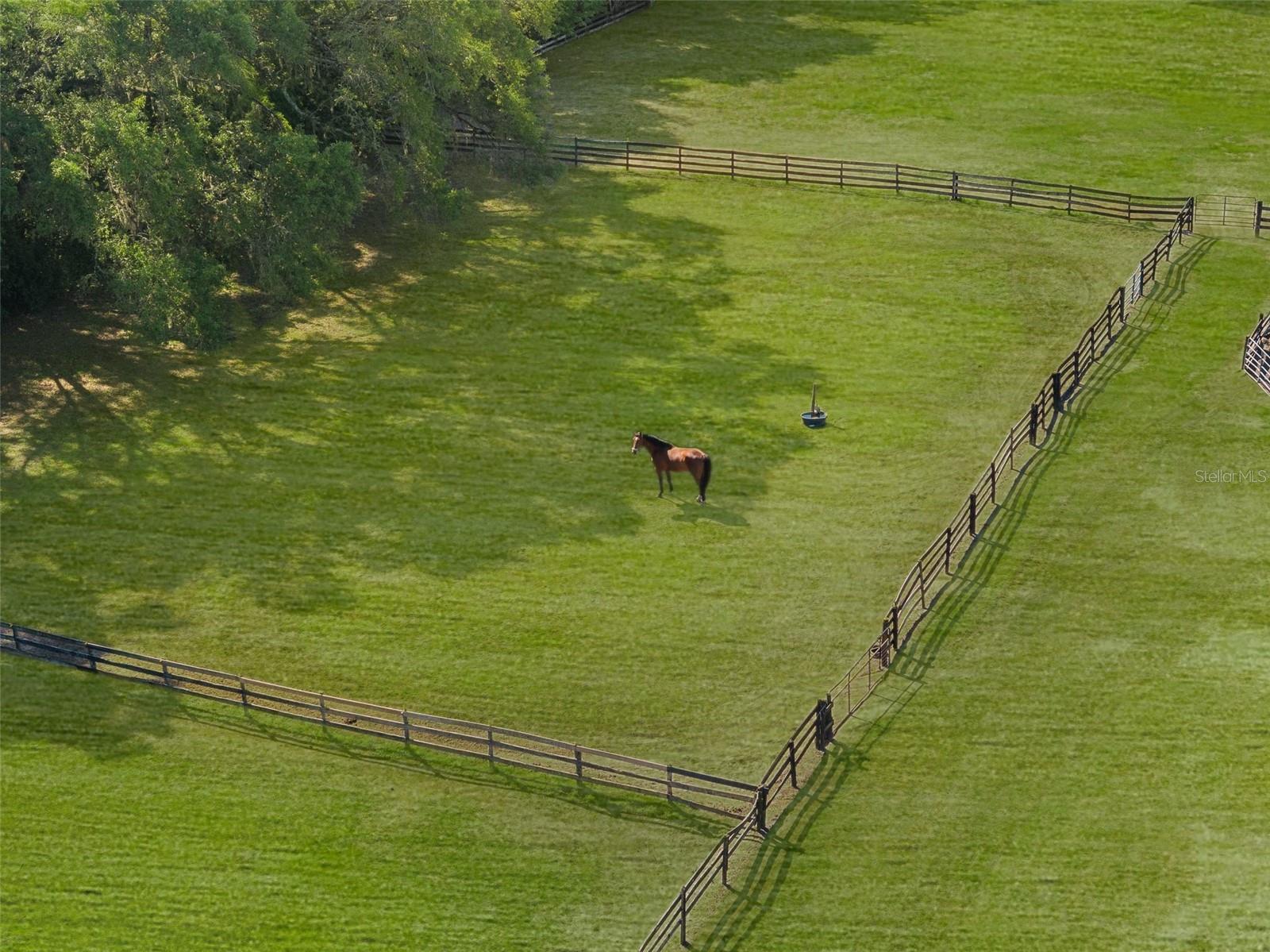 ARCHER FARMS - Residential
