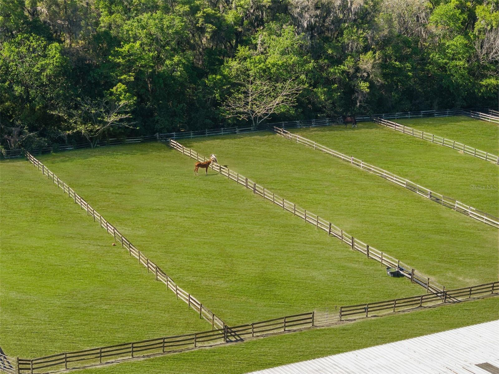 ARCHER FARMS - Residential