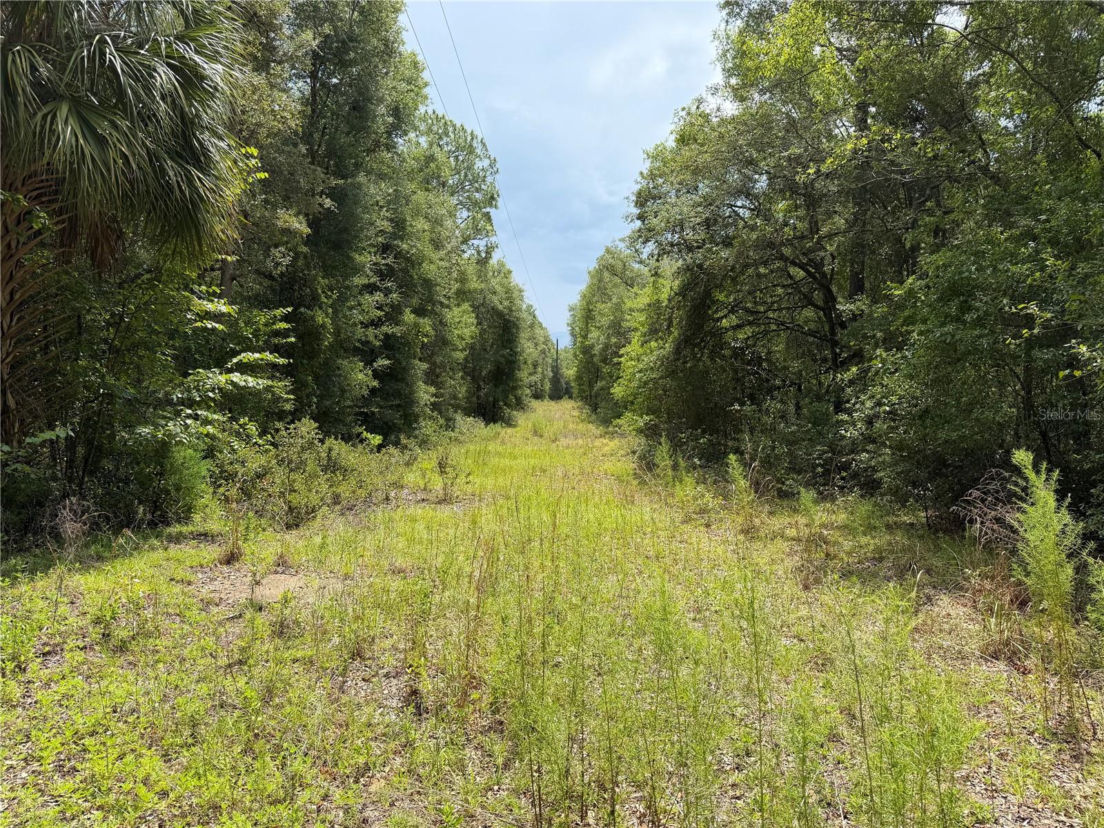 MEREDITH HILLS - Land