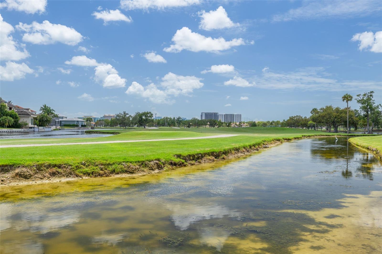 AUDUBON CONDO AT FEATHER SOUND - Residential