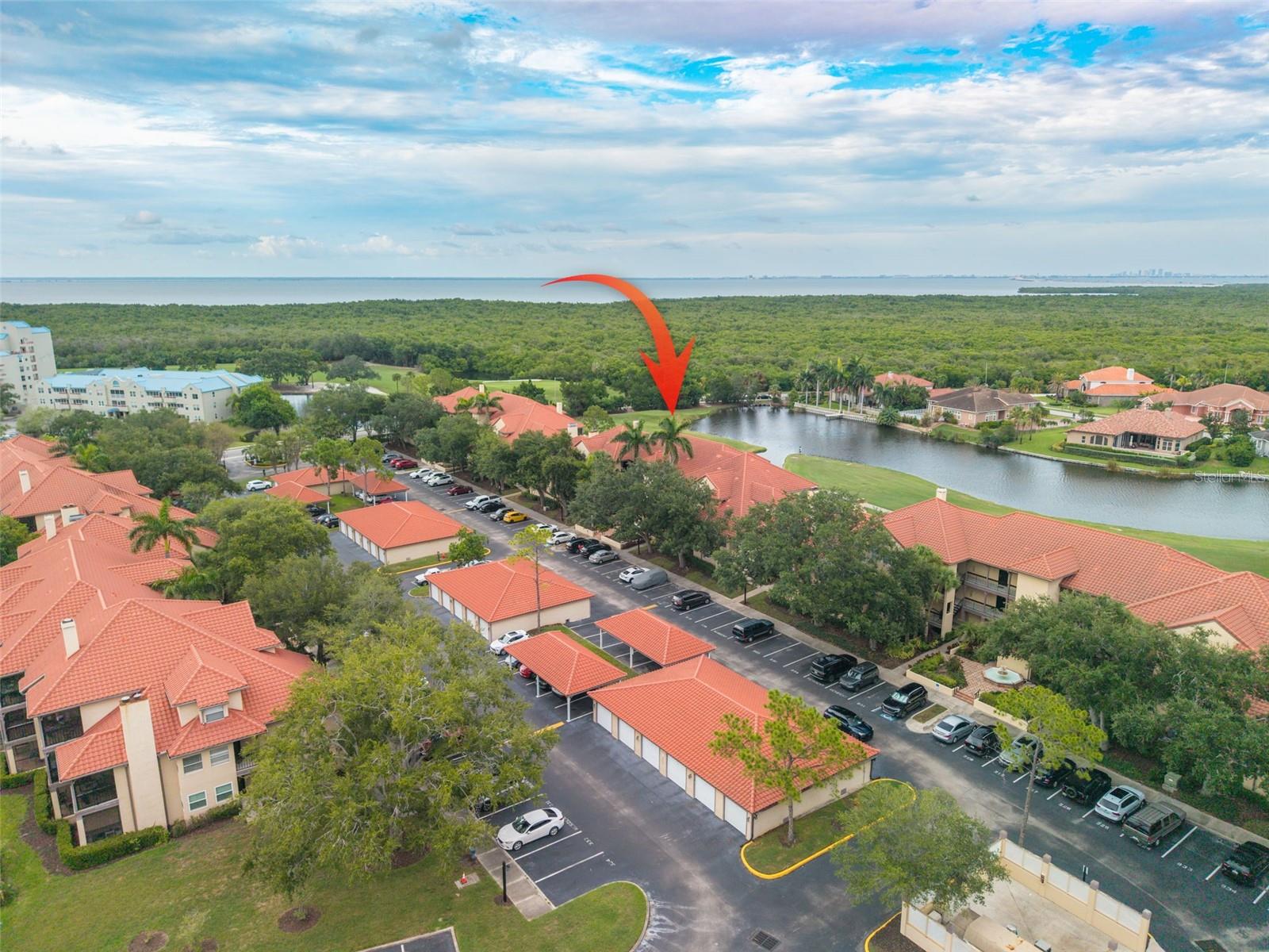 AUDUBON CONDO AT FEATHER SOUND - Residential