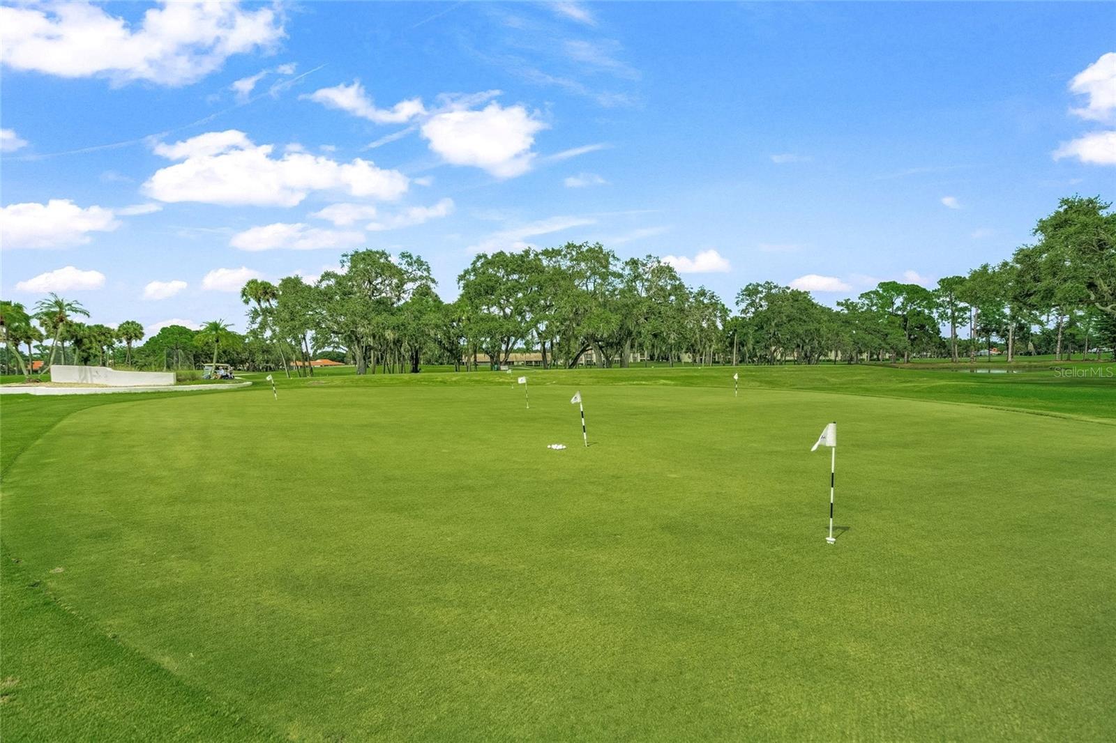 PALM-AIRE AT SARASOTA 8-A - Residential