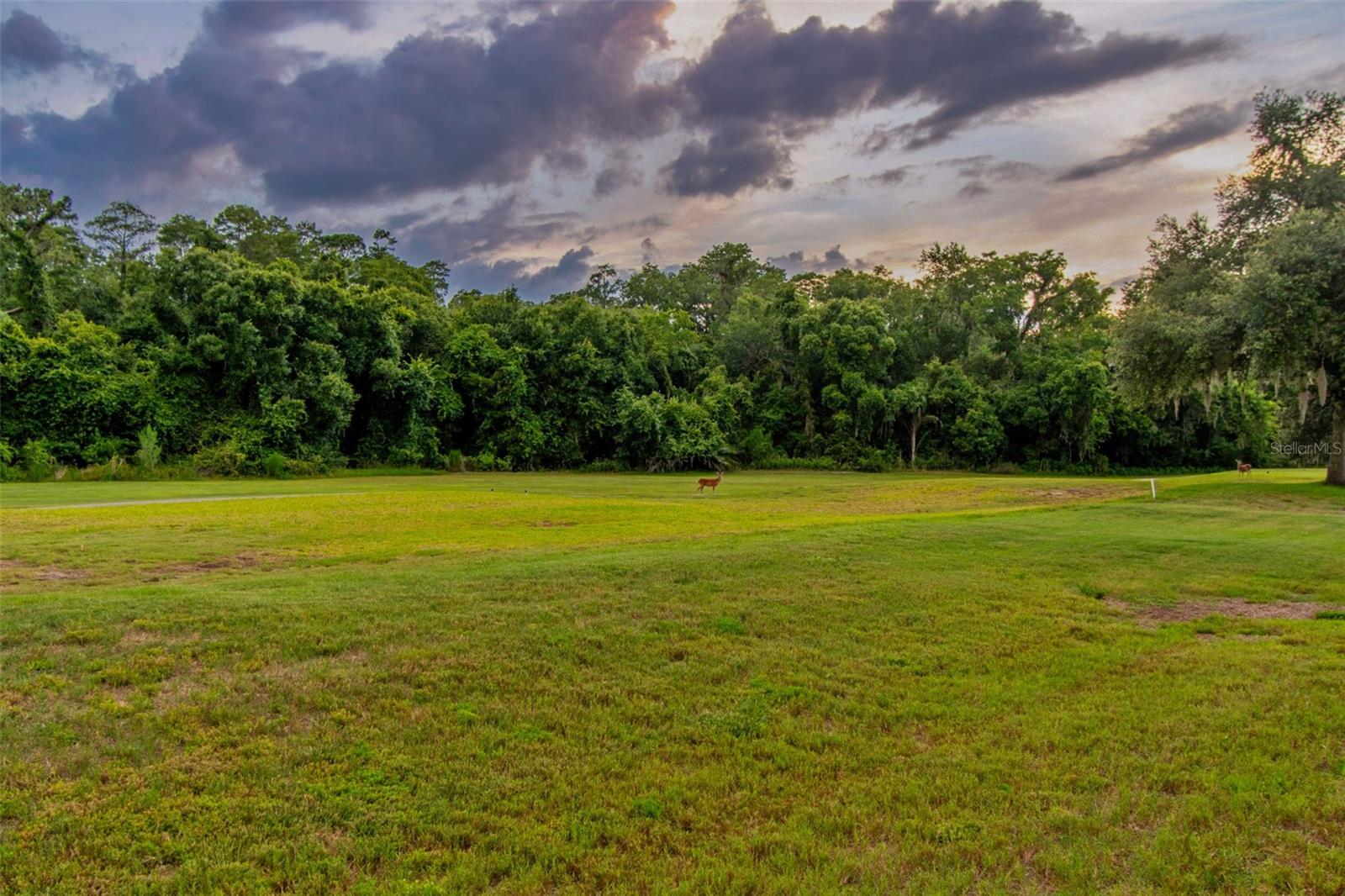 CRESCENT OAKS COUNTRY CLUB REGENCY PH 2 - Residential
