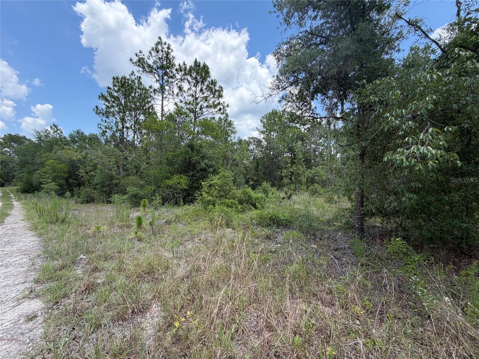 WILLISTON HYLNDS GOLF & C CLUB ESTATE - Land