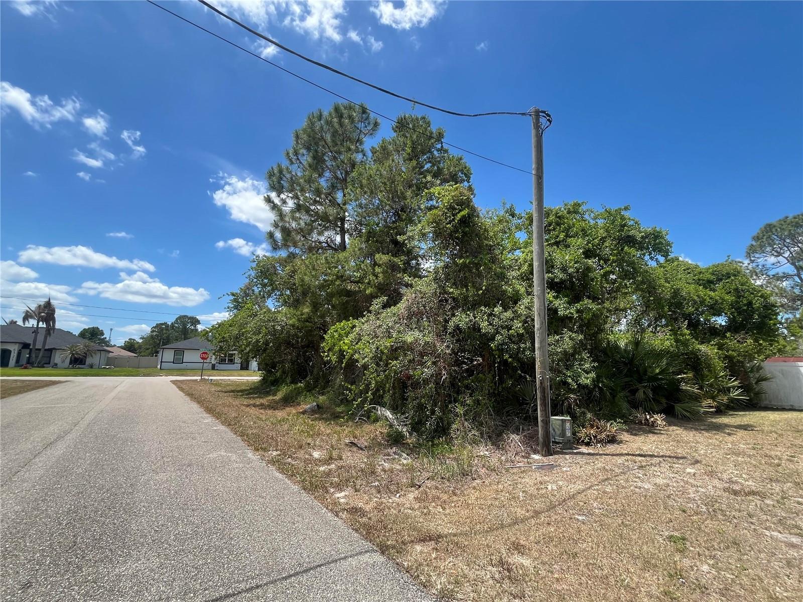 SEBRING COUNTRY ESTATE SEC 03 - Land
