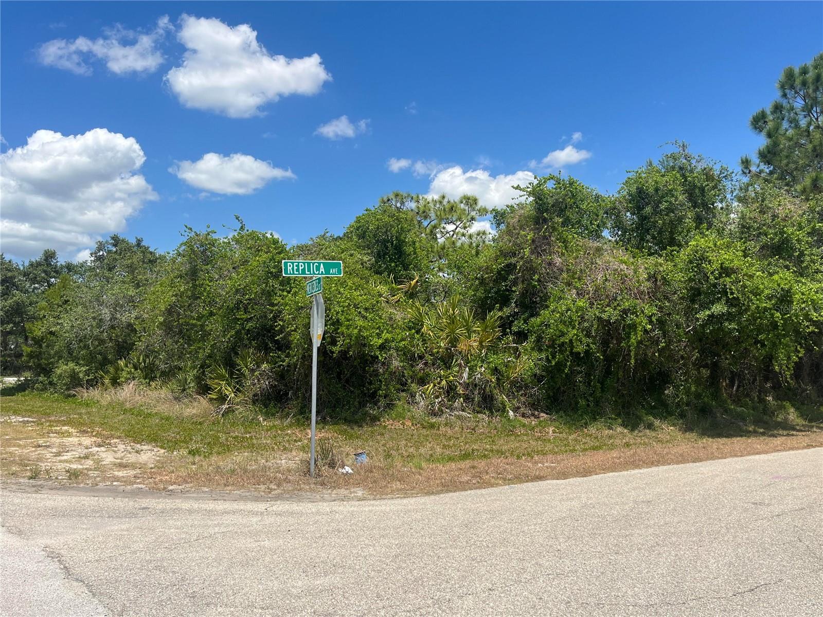 SEBRING COUNTRY ESTATE SEC 03 - Land