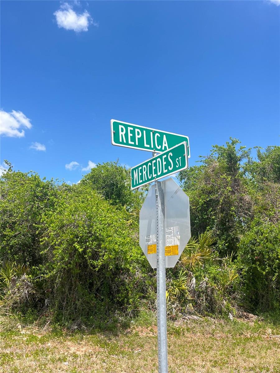 SEBRING COUNTRY ESTATE SEC 03 - Land