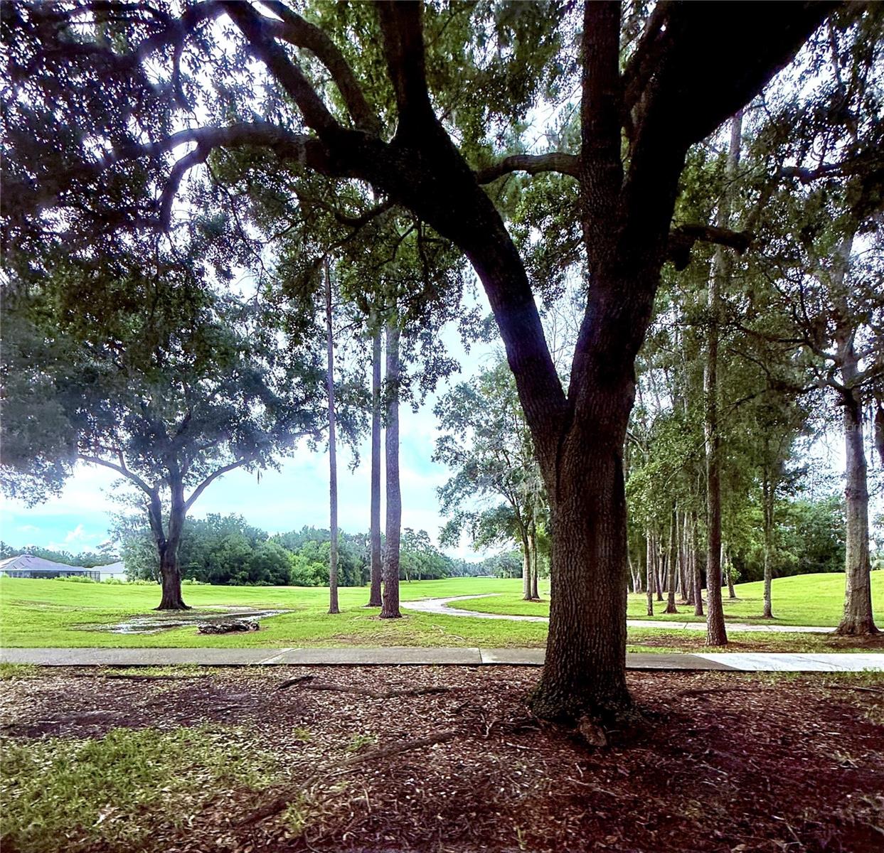 HERNANDO OAKS PH 3 - Residential
