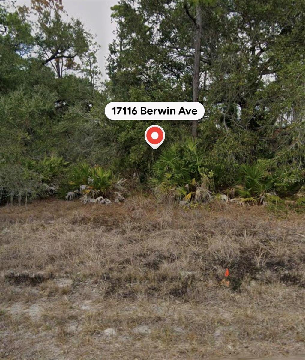 PORT CHARLOTTE SEC 41 - Land