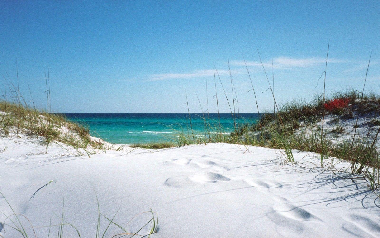 PARADISE ISLAND TOWERS CONDO - Residential