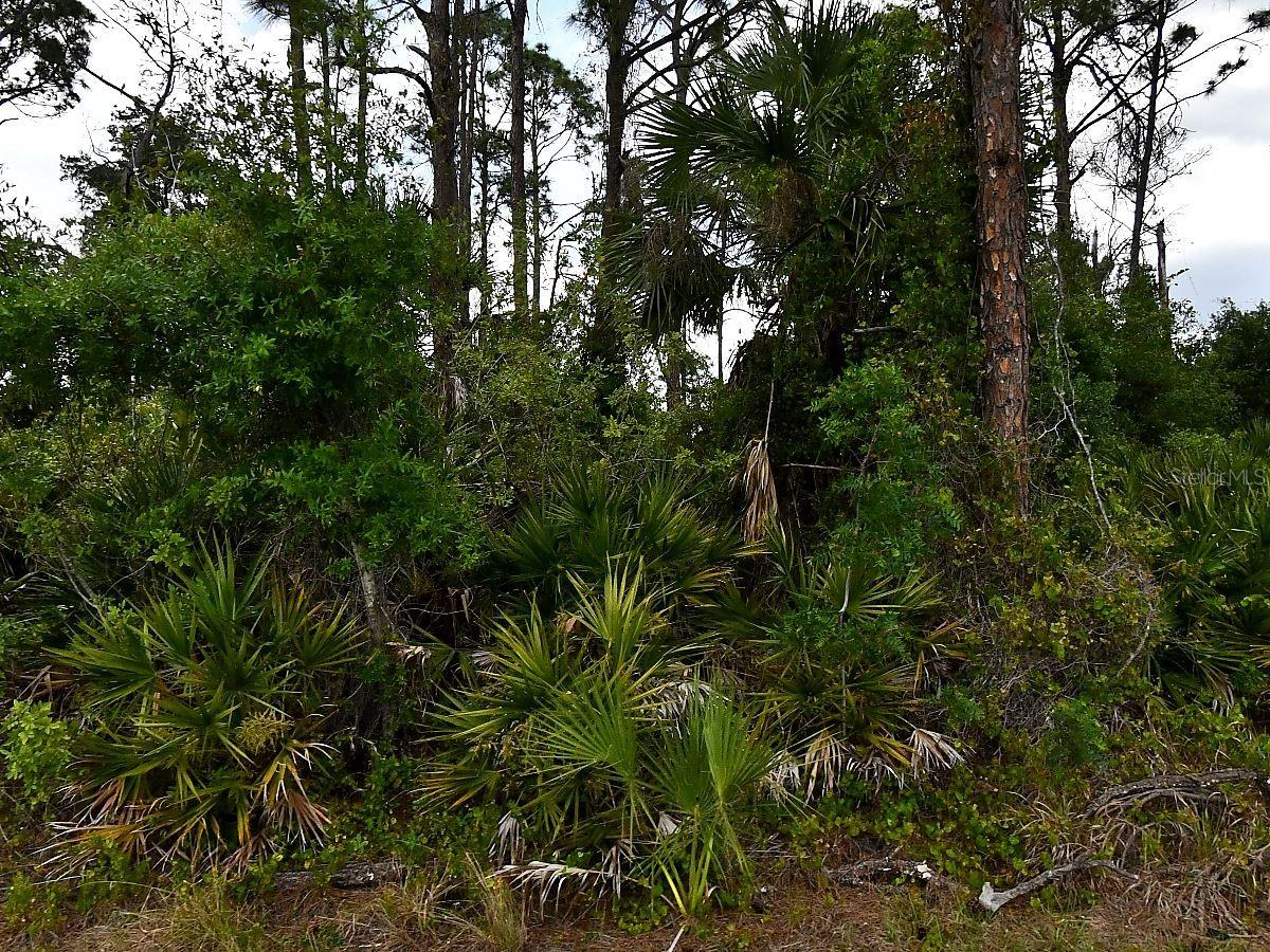 Excellent opportunity to acquire a residential lot in a growing and highly desirable area of North Port. Ideal for building a new home or as an investment property, this lot is surrounded by ongoing new construction, reflecting strong development and demand in the area.
Conveniently located near schools, shopping, dining, and everyday amenities, with easy access to US-41 and I-75. Just minutes from the North Port Aquatic Center, featuring a competition pool, water slides, and a lazy river, as well as close proximity to Suncoast Technical College, Shannon Staub Library, and a variety of retail and grocery options.
Enjoy being near some of Southwest Florida’s top destinations, including Venice, Port Charlotte, and Punta Gorda, along with easy access to golf courses, boating, world-class fishing, and beautiful Gulf beaches. North Port is also home to the Atlanta Braves Spring Training facility, adding to the area's appeal and growth.
With unbeatable advantages: no HOA, no CDD, no Scrub Jay zone (per the Sarasota County Property Appraiser website as of 05/03/26, please reconfirm during due diligence), and an environmental study already completed (available upon request).
Perfect opportunity for builders, investors, or end-users looking to secure a property in a rapidly expanding community. Seller has additional lots available.
