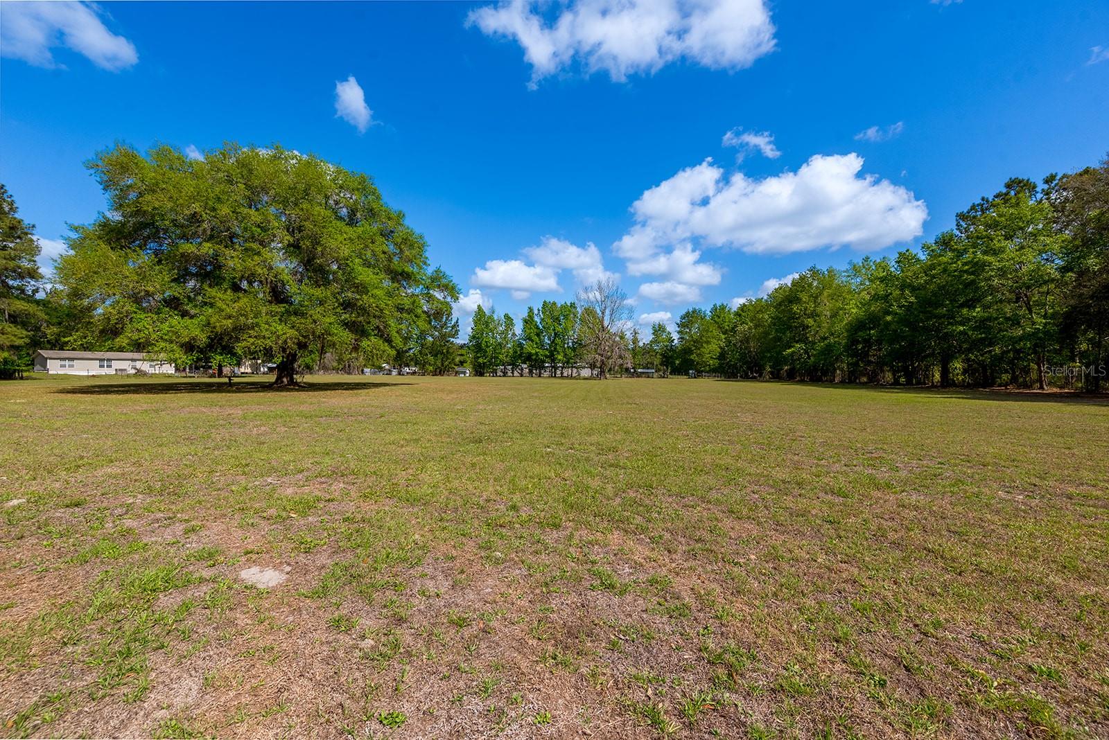 WORTHINGTON SPGS PLANTATION - Residential