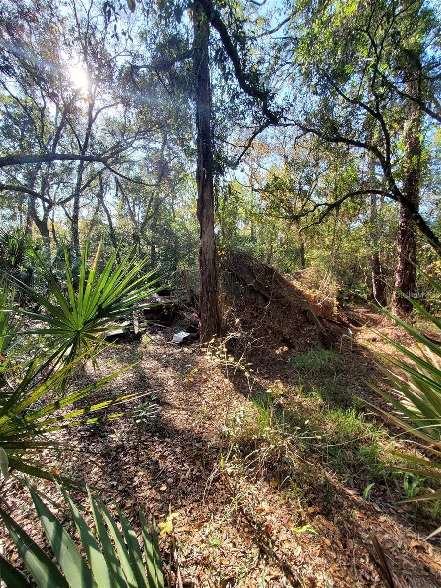 PORT RICHEY LAND CO - Land