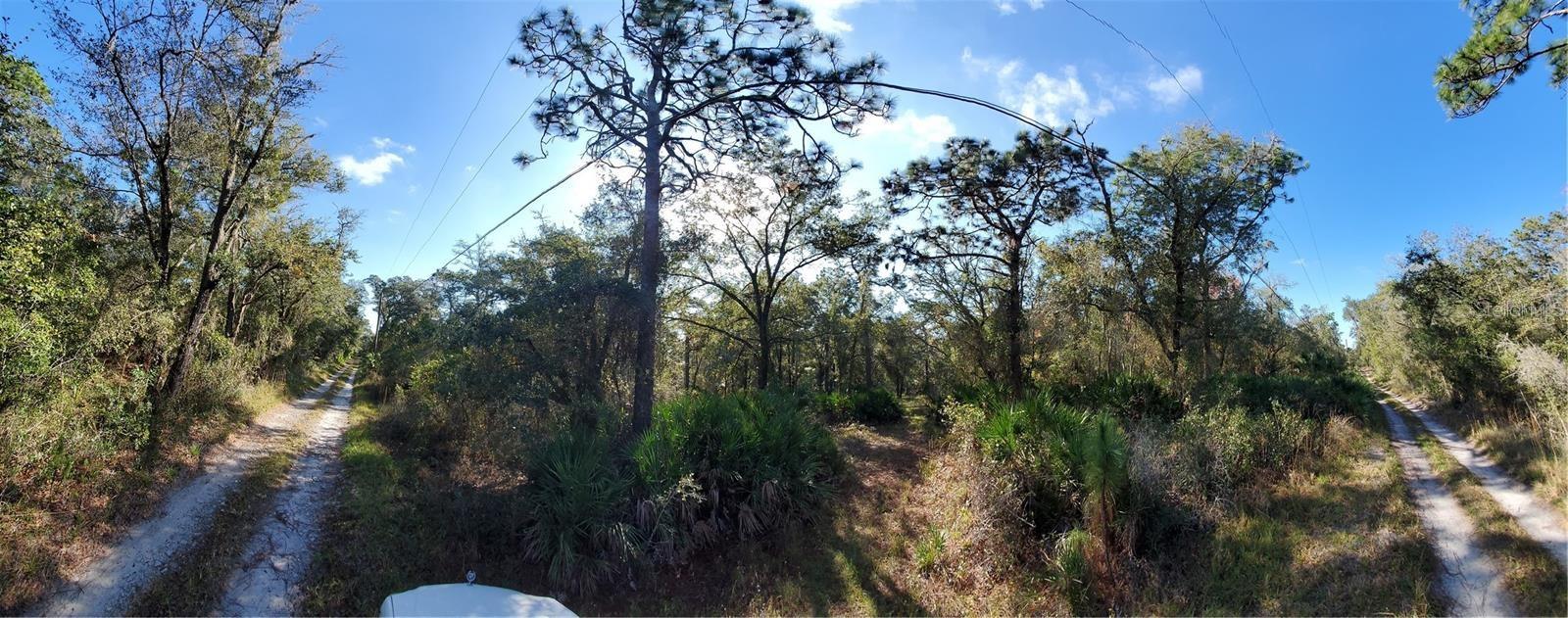 PORT RICHEY LAND CO - Land