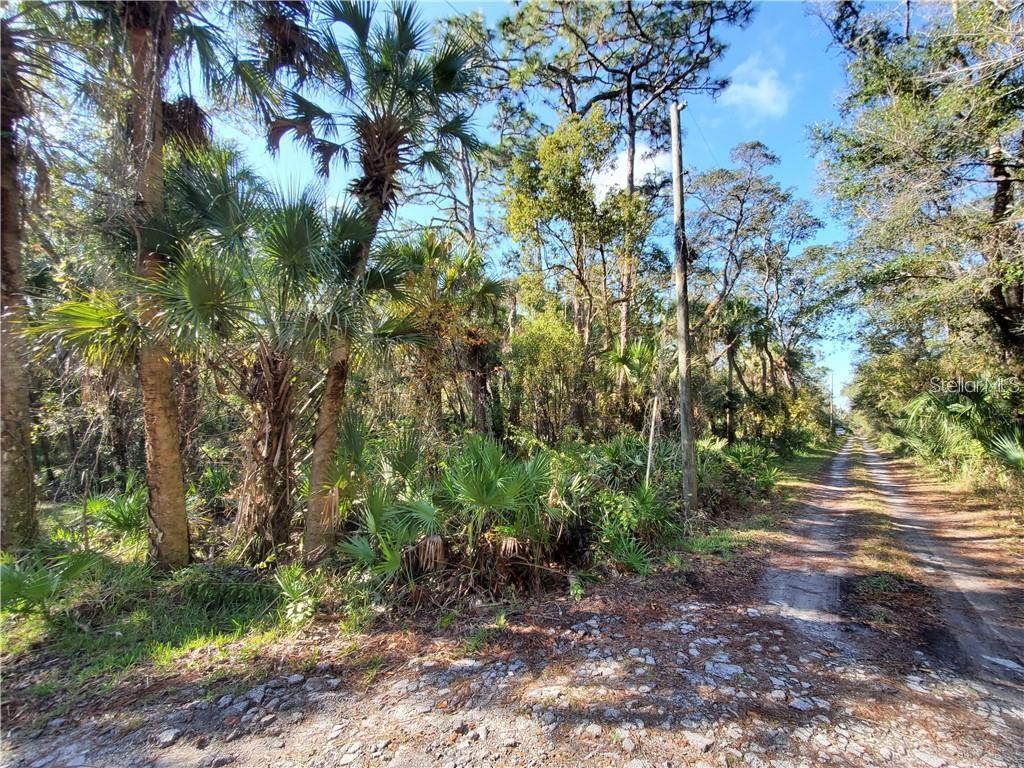 PORT RICHEY LAND CO - Land