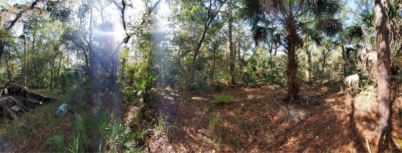 PORT RICHEY LAND CO - Land