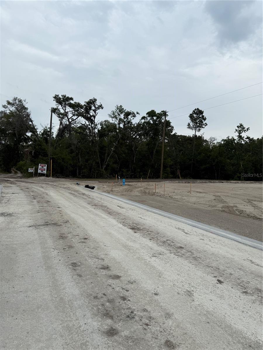 PORT RICHEY LAND CO - Land
