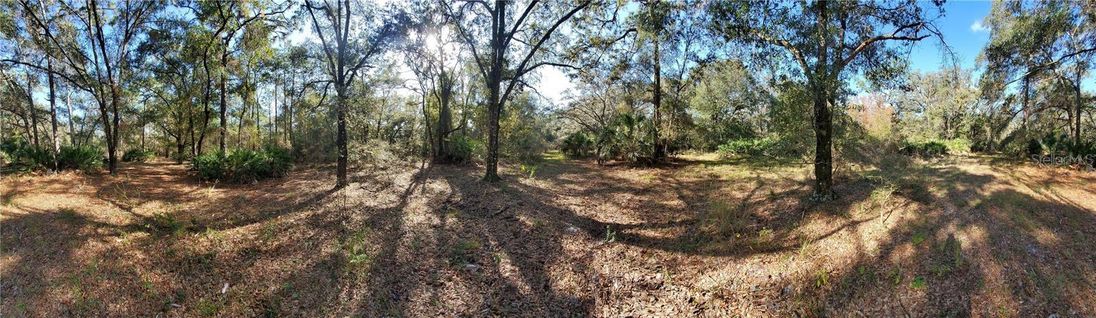 PORT RICHEY LAND CO - Land