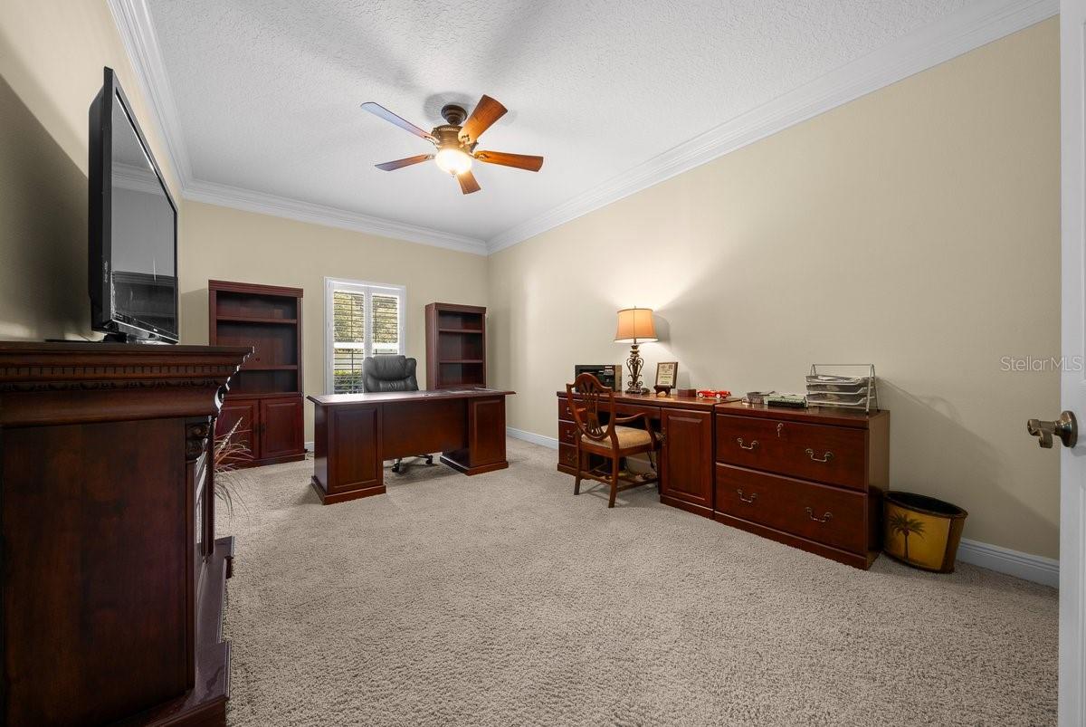 MAGNOLIA FARMS LT 01 PB 50 PG 95-96 ORB 248 - Residential