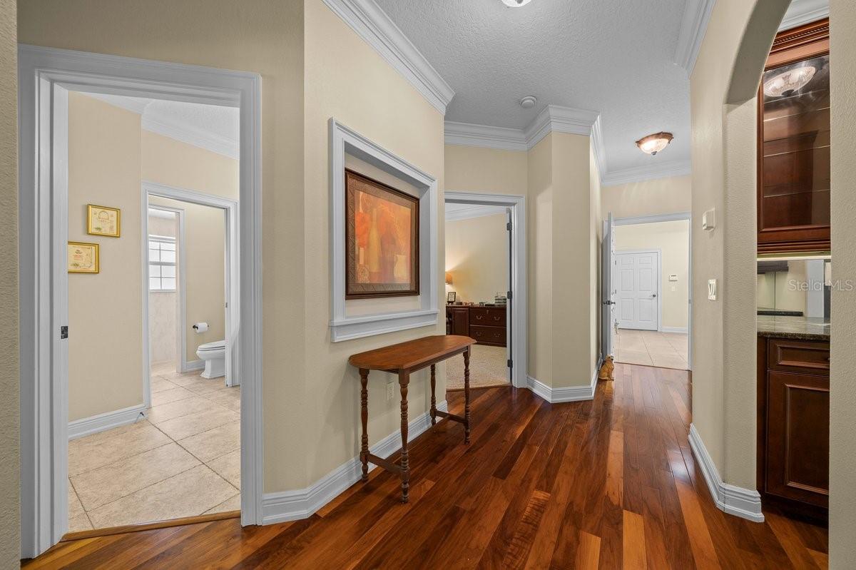 MAGNOLIA FARMS LT 01 PB 50 PG 95-96 ORB 248 - Residential