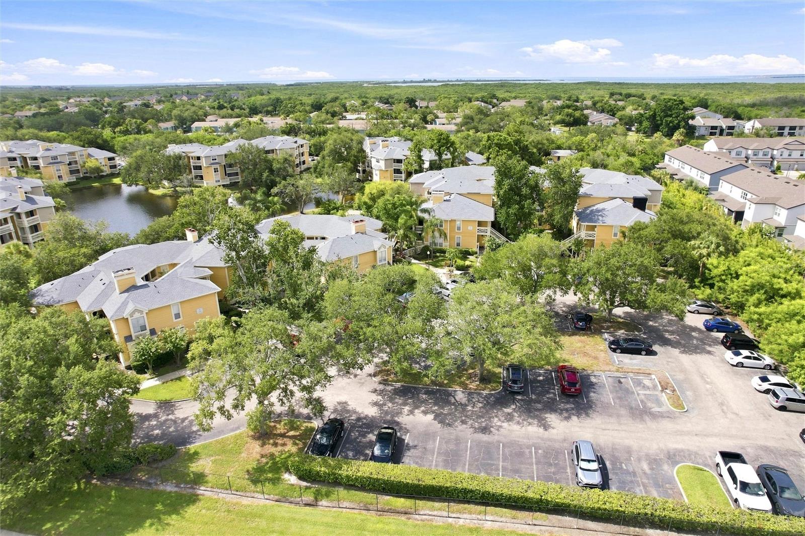 BRIDGEWATER PLACE CONDO - Residential