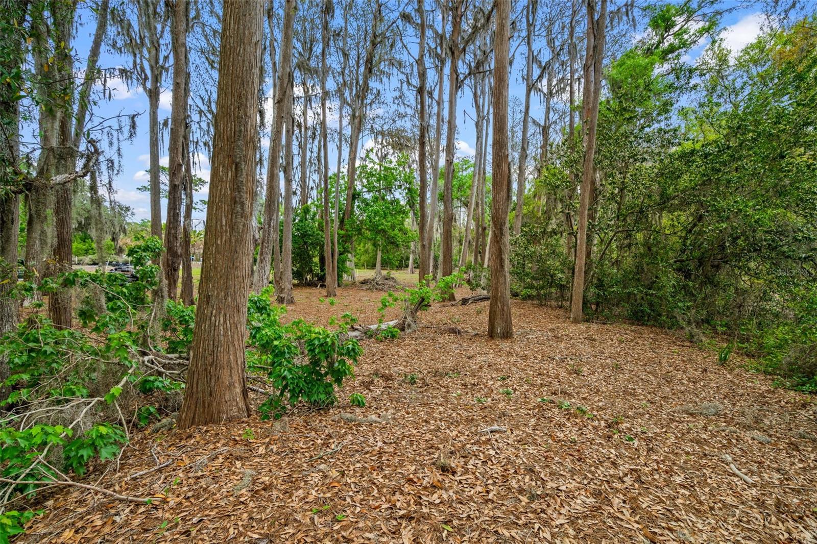 KEYSTONE PARK COLONY SUB - Land