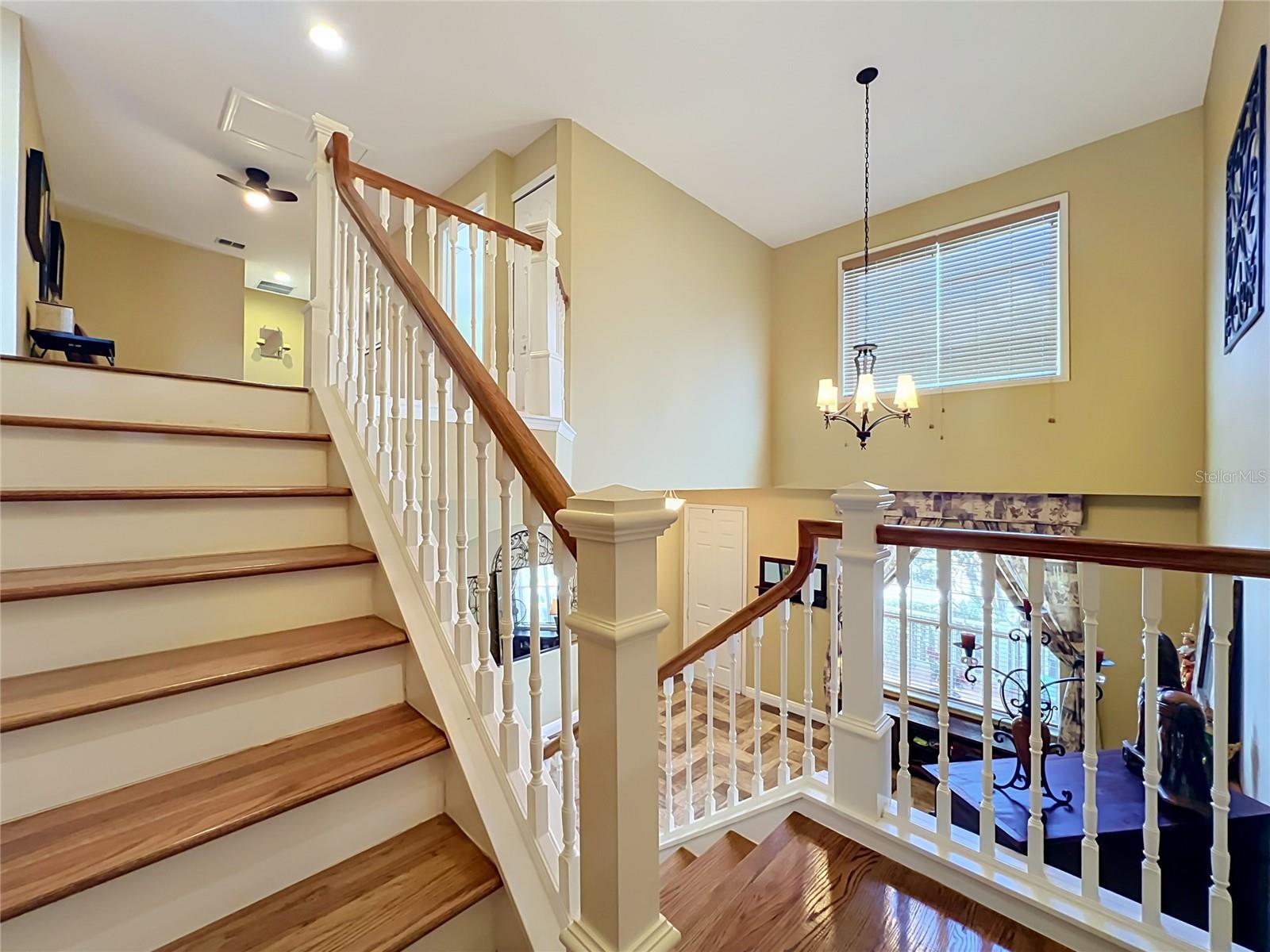 AVALON PARK SOUTH PH 01 - Residential