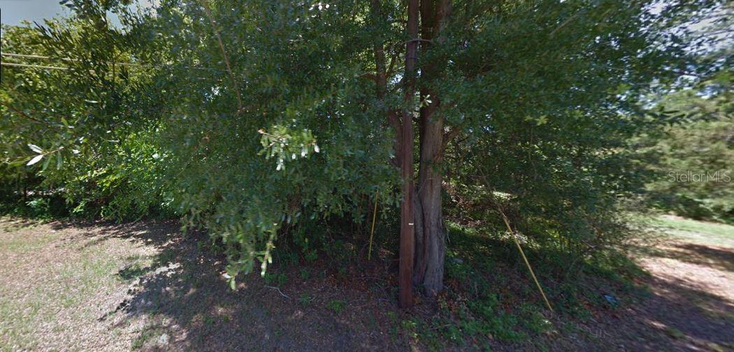 ALACHUA LEROYS ADD - Land