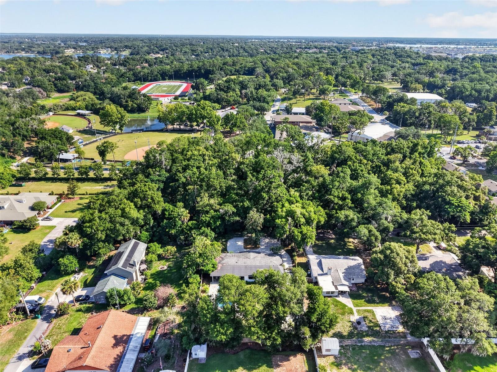 MOUNT DORA ORANGE HILL - Residential