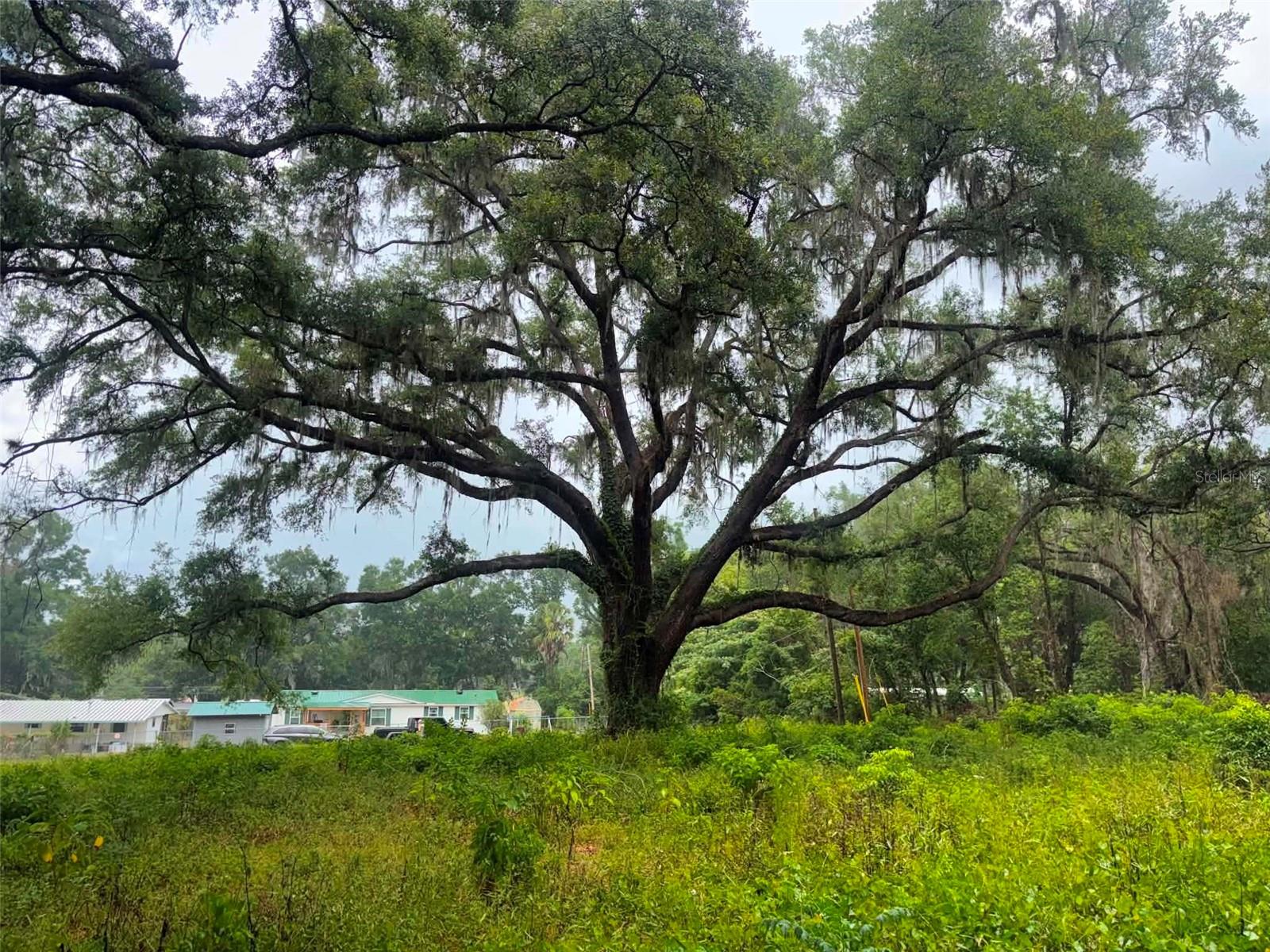SUMMERFIELD PARK - Land